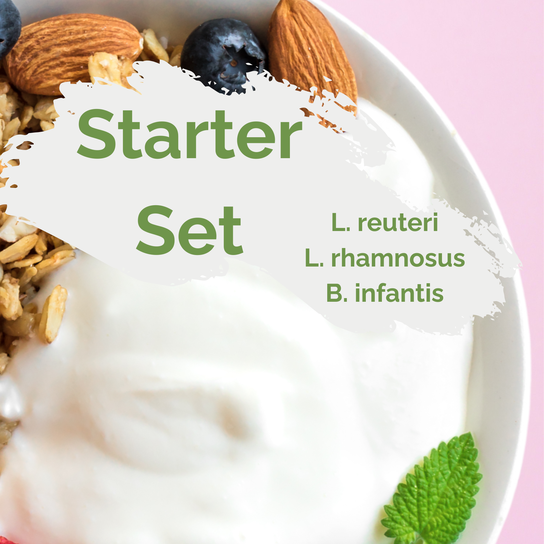 Paket starter "Happy Gut" | Yogurt L. reuteri, L. rhamnosus, B. infantis